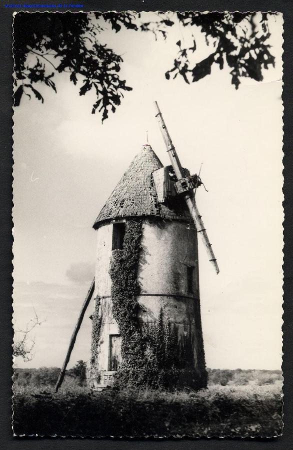 Moulin A Vent Le Champ Du Trail Villa Saint-Cyr-des-Gats Exteriör bild