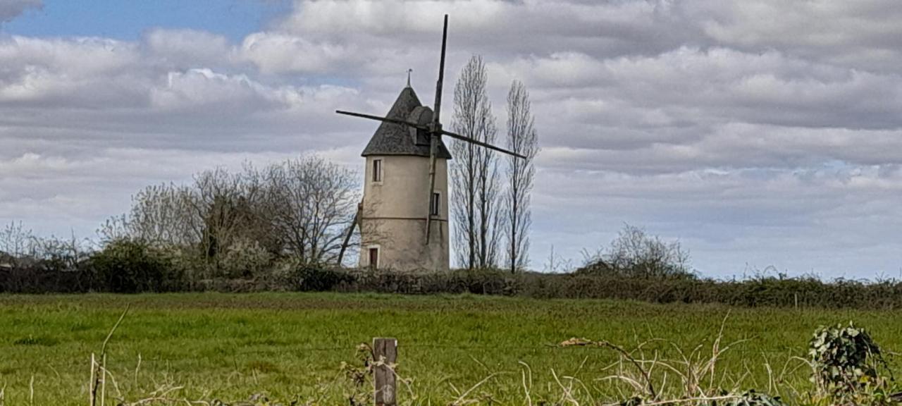 Moulin A Vent Le Champ Du Trail Villa Saint-Cyr-des-Gats Exteriör bild